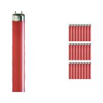 Mehrfachpackung 25x Philips MASTER TL-D 36W - Rot | 120cm