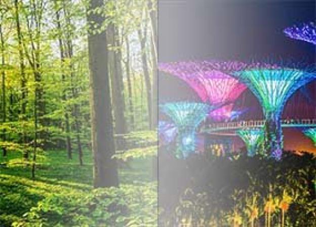 Natürliches Licht und künstliches Licht 